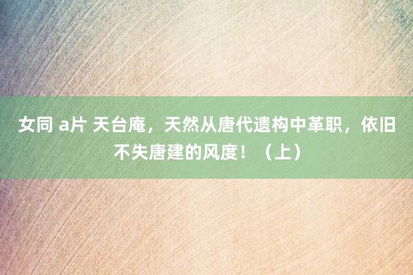 女同 a片 天台庵，天然从唐代遗构中革职，依旧不失唐建的风度！（上）