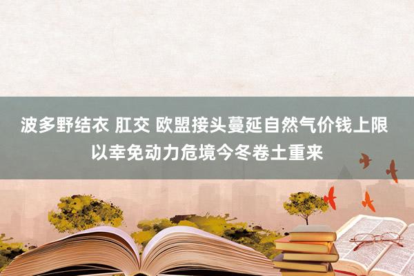 波多野结衣 肛交 欧盟接头蔓延自然气价钱上限 以幸免动力危境今冬卷土重来