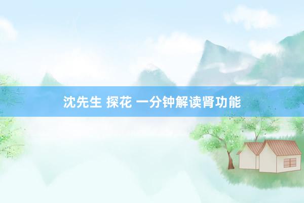 沈先生 探花 一分钟解读肾功能