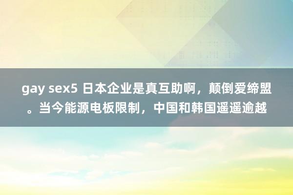 gay sex5 日本企业是真互助啊，颠倒爱缔盟。当今能源电板限制，中国和韩国遥遥逾越