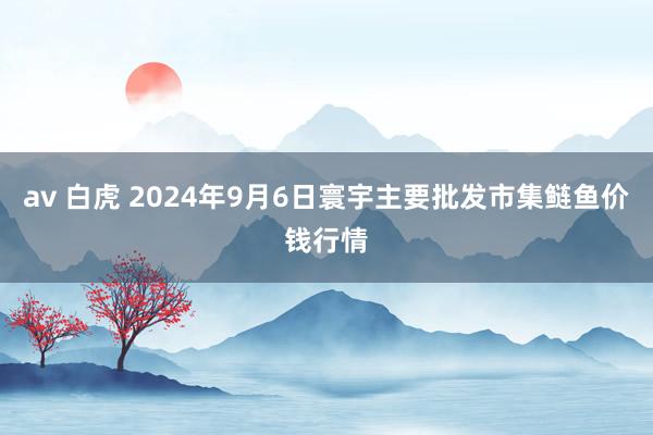 av 白虎 2024年9月6日寰宇主要批发市集鲢鱼价钱行情