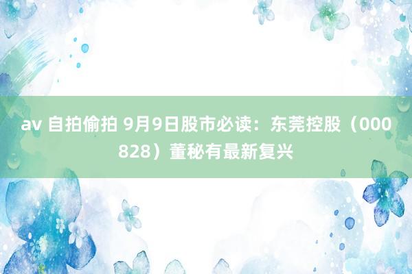 av 自拍偷拍 9月9日股市必读：东莞控股（000828）董秘有最新复兴