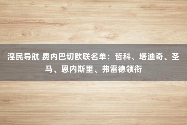淫民导航 费内巴切欧联名单：哲科、塔迪奇、圣马、恩内斯里、弗雷德领衔