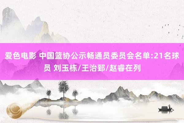 爱色电影 中国篮协公示畅通员委员会名单:21名球员 刘玉栋/王治郅/赵睿在列