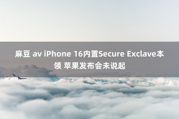 麻豆 av iPhone 16内置Secure Exclave本领 苹果发布会未说起