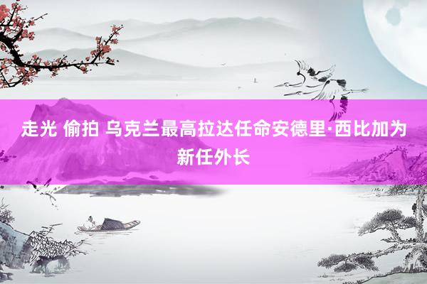 走光 偷拍 乌克兰最高拉达任命安德里·西比加为新任外长