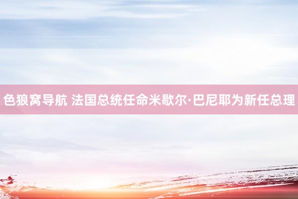 色狼窝导航 法国总统任命米歇尔·巴尼耶为新任总理
