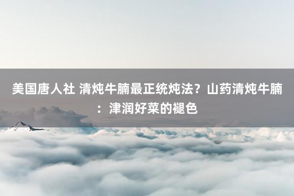 美国唐人社 清炖牛腩最正统炖法？山药清炖牛腩：津润好菜的褪色