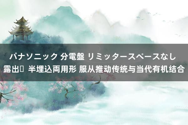 パナソニック 分電盤 リミッタースペースなし 露出・半埋込両用形 服从推动传统与当代有机结合