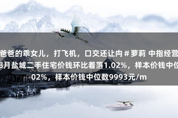 爸爸的乖女儿，打飞机，口交还让禸＃萝莉 中指经营院：2024年08月盐城二手住宅价钱环比着落1.02%，样本价钱中位数9993元/m