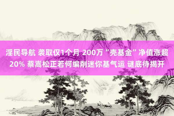 淫民导航 袭取仅1个月 200万“壳基金”净值涨超20% 蔡嵩松正若何编削迷你基气运 谜底待揭开