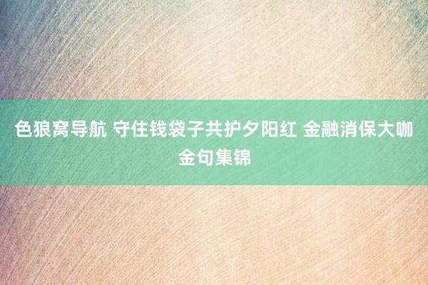 色狼窝导航 守住钱袋子共护夕阳红 金融消保大咖金句集锦