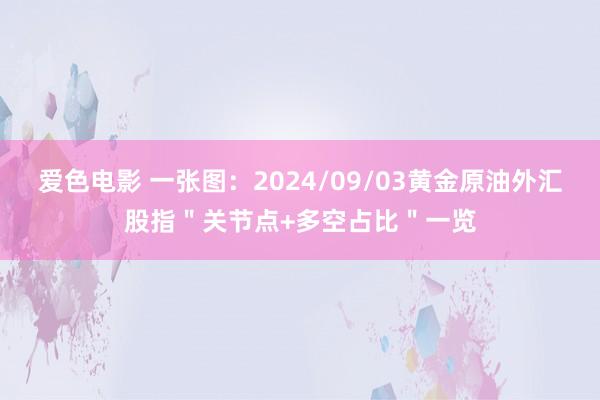 爱色电影 一张图：2024/09/03黄金原油外汇股指＂关节点+多空占比＂一览