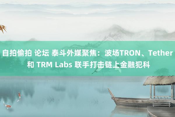 自拍偷拍 论坛 泰斗外媒聚焦：波场TRON、Tether 和 TRM Labs 联手打击链上金融犯科