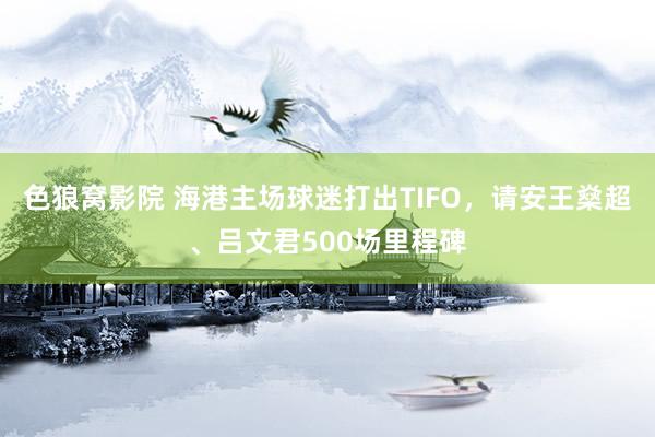 色狼窝影院 海港主场球迷打出TIFO，请安王燊超、吕文君500场里程碑