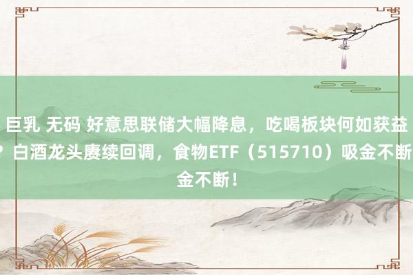 巨乳 无码 好意思联储大幅降息，吃喝板块何如获益？白酒龙头赓续回调，食物ETF（515710）吸金不断！