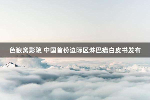 色狼窝影院 中国首份边际区淋巴瘤白皮书发布