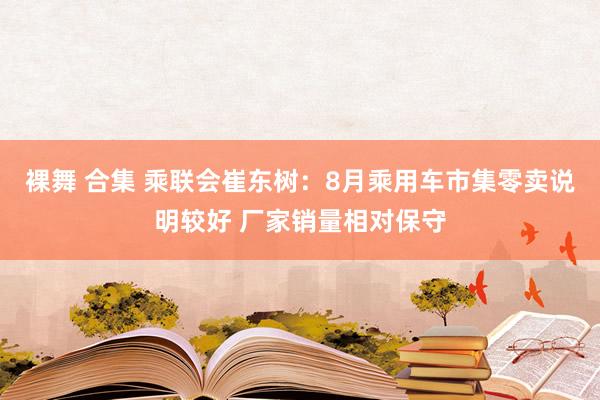 裸舞 合集 乘联会崔东树：8月乘用车市集零卖说明较好 厂家销量相对保守