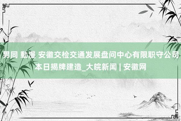 男同 動漫 安徽交检交通发展盘问中心有限职守公司本日揭牌建造_大皖新闻 | 安徽网