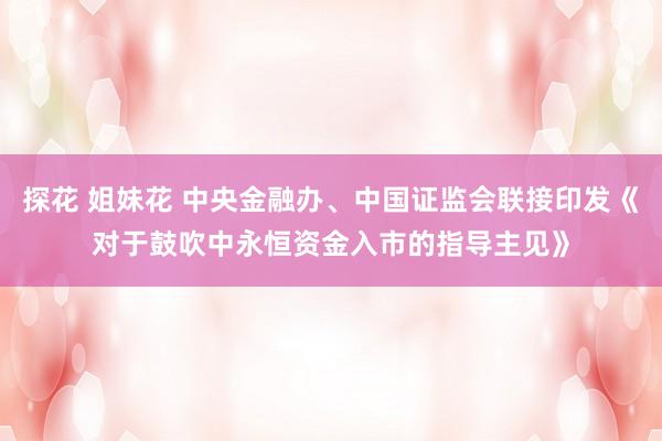探花 姐妹花 中央金融办、中国证监会联接印发《对于鼓吹中永恒资金入市的指导主见》