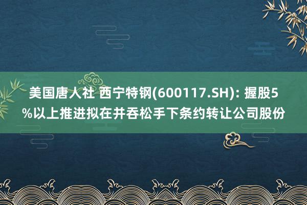 美国唐人社 西宁特钢(600117.SH): 握股5%以上推进拟在并吞松手下条约转让公司股份