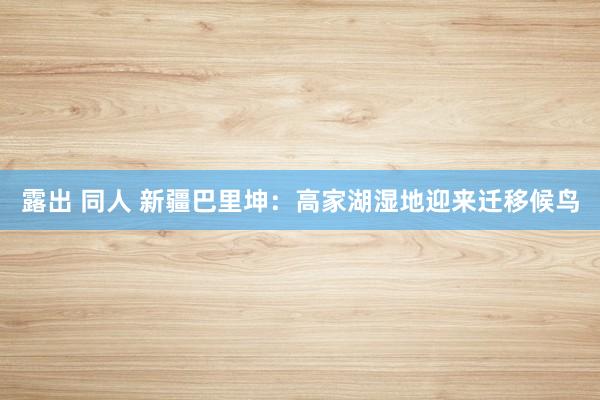 露出 同人 新疆巴里坤：高家湖湿地迎来迁移候鸟