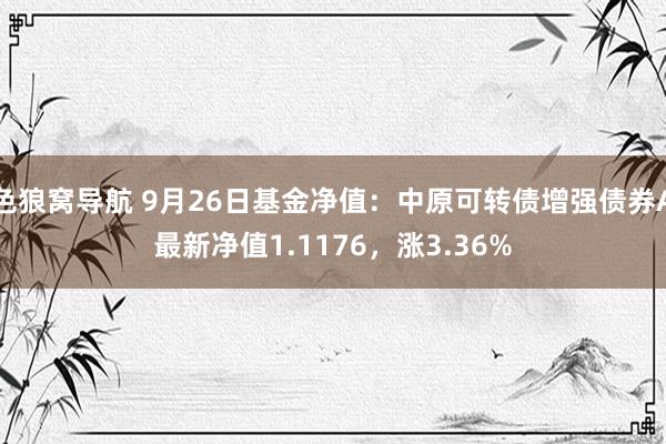 色狼窝导航 9月26日基金净值：中原可转债增强债券A最新净值1.1176，涨3.36%