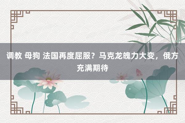 调教 母狗 法国再度屈服？马克龙魄力大变，俄方充满期待