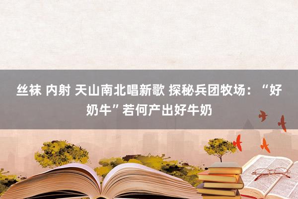 丝袜 内射 天山南北唱新歌 探秘兵团牧场：“好奶牛”若何产出好牛奶