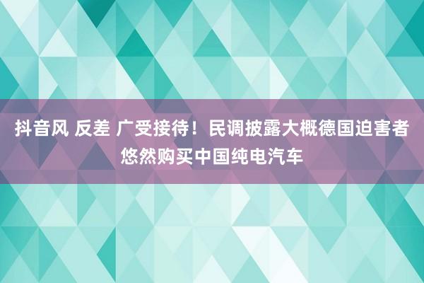 抖音风 反差 广受接待！民调披露大概德国迫害者悠然购买中国纯电汽车