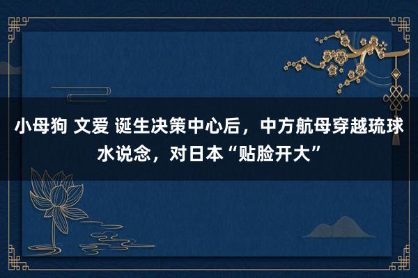 小母狗 文爱 诞生决策中心后，中方航母穿越琉球水说念，对日本“贴脸开大”