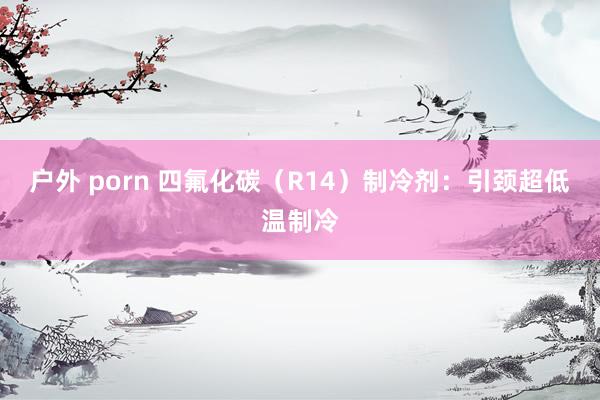 户外 porn 四氟化碳（R14）制冷剂：引颈超低温制冷