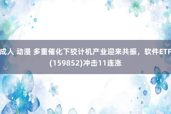 成人 动漫 多重催化下狡计机产业迎来共振，软件ETF(159852)冲击11连涨