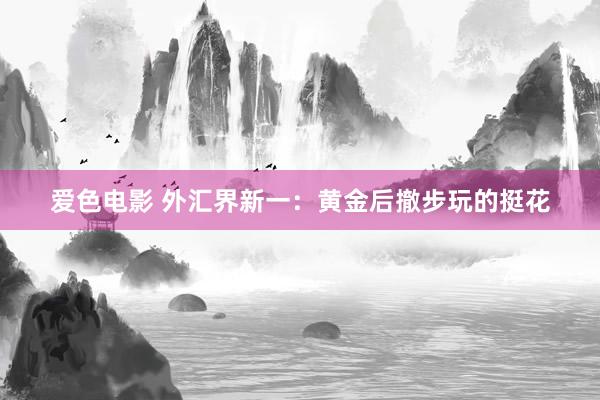 爱色电影 外汇界新一：黄金后撤步玩的挺花