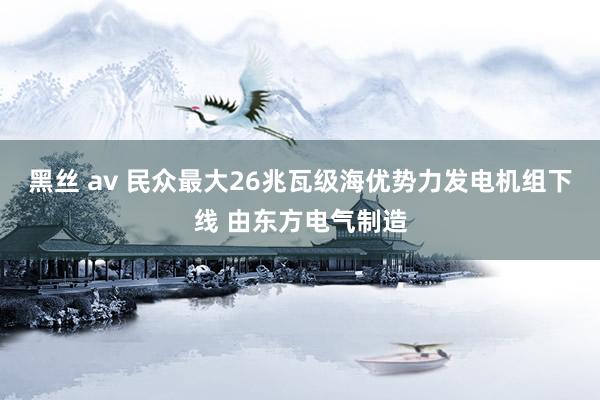黑丝 av 民众最大26兆瓦级海优势力发电机组下线 由东方电气制造