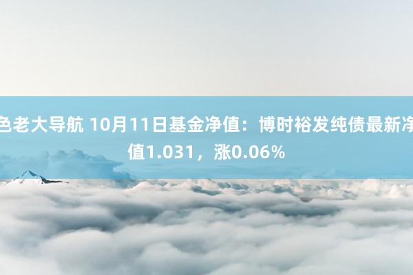 色老大导航 10月11日基金净值：博时裕发纯债最新净值1.031，涨0.06%