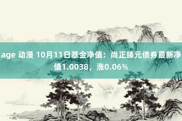 age 动漫 10月11日基金净值：尚正臻元债券最新净值1.0038，涨0.06%