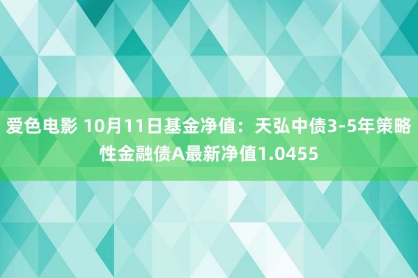 爱色电影 10月11日基金净值：天弘中债3-5年策略性金融债A最新净值1.0455