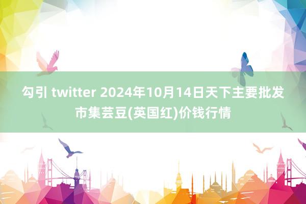 勾引 twitter 2024年10月14日天下主要批发市集芸豆(英国红)价钱行情