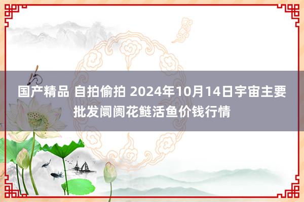 国产精品 自拍偷拍 2024年10月14日宇宙主要批发阛阓花鲢活鱼价钱行情
