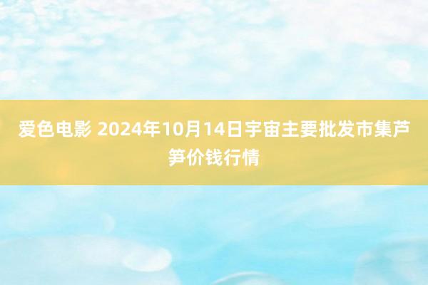 爱色电影 2024年10月14日宇宙主要批发市集芦笋价钱行情