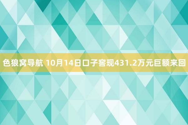 色狼窝导航 10月14日口子窖现431.2万元巨额来回