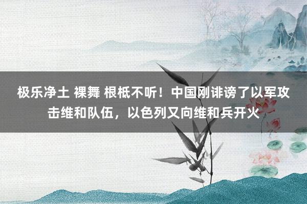 极乐净土 裸舞 根柢不听！中国刚诽谤了以军攻击维和队伍，以色列又向维和兵开火
