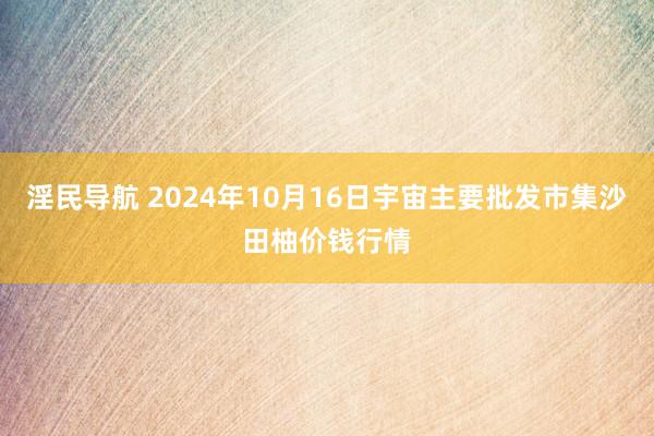 淫民导航 2024年10月16日宇宙主要批发市集沙田柚价钱行情