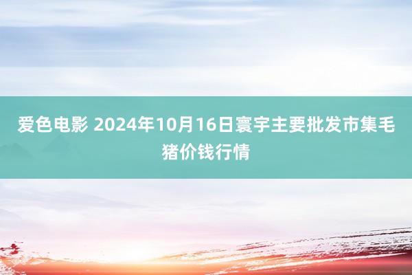 爱色电影 2024年10月16日寰宇主要批发市集毛猪价钱行情