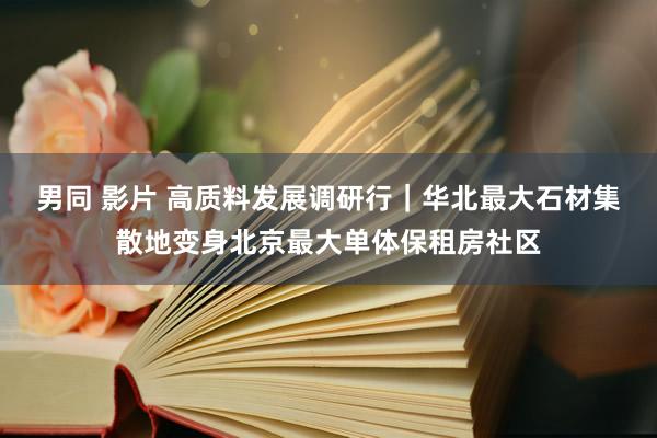 男同 影片 高质料发展调研行｜华北最大石材集散地变身北京最大单体保租房社区