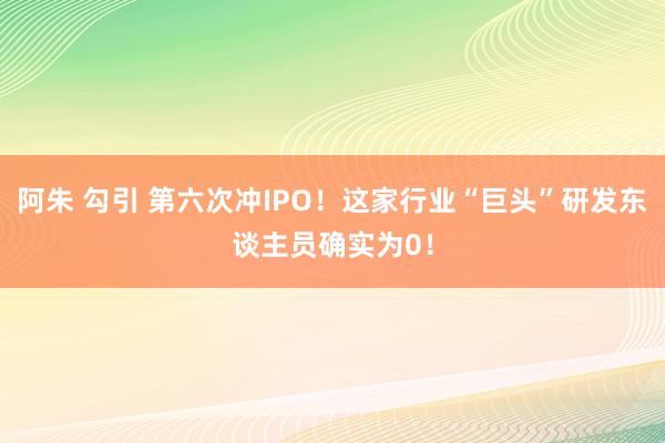 阿朱 勾引 第六次冲IPO！这家行业“巨头”研发东谈主员确实为0！