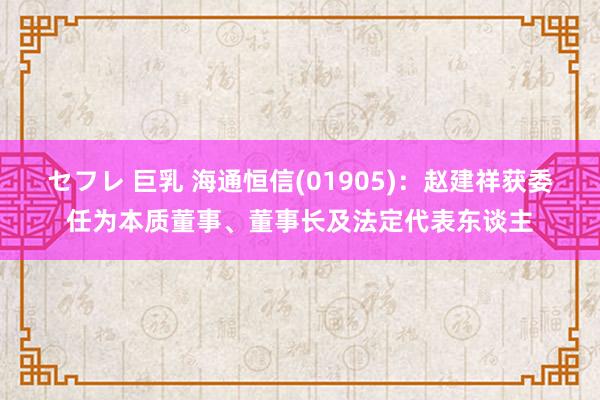 セフレ 巨乳 海通恒信(01905)：赵建祥获委任为本质董事、董事长及法定代表东谈主
