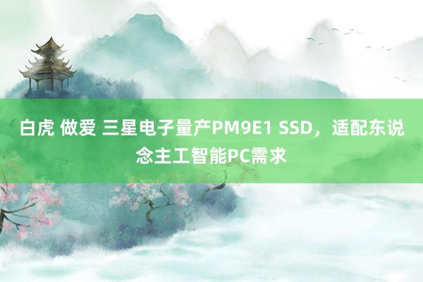 白虎 做爱 三星电子量产PM9E1 SSD，适配东说念主工智能PC需求