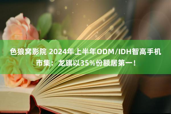 色狼窝影院 2024年上半年ODM/IDH智高手机市集：龙旗以35%份额居第一！